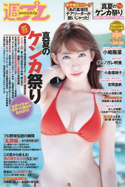 古代辣文高H1V3